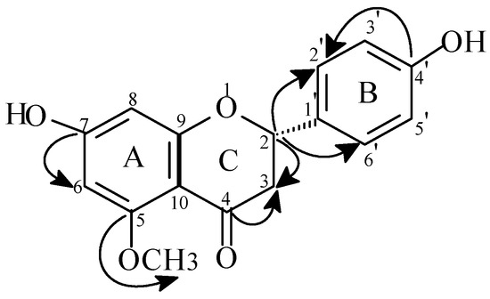 Molecules 09 00602 g001 550