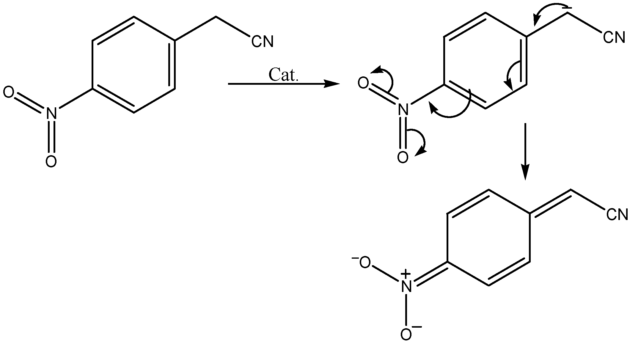 Molecules 09 00658 g002