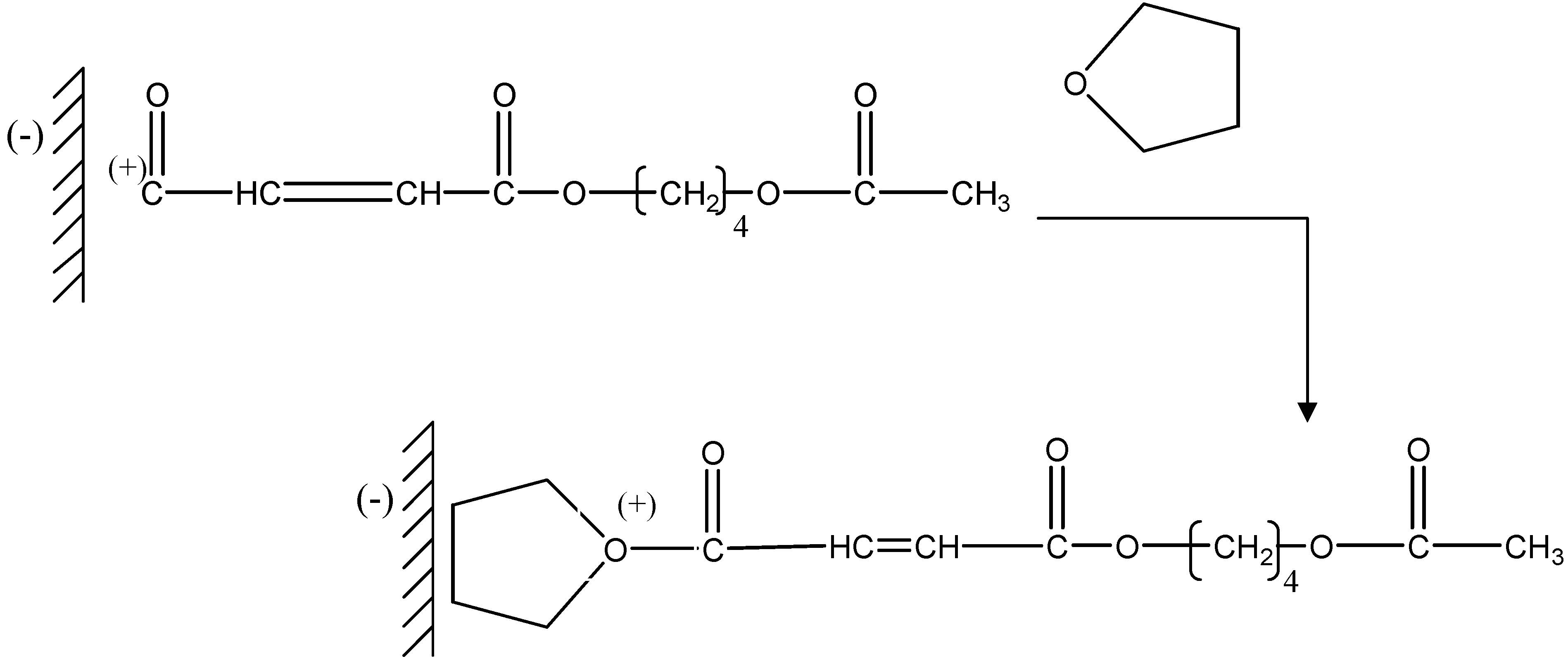Molecules 09 00968 g005