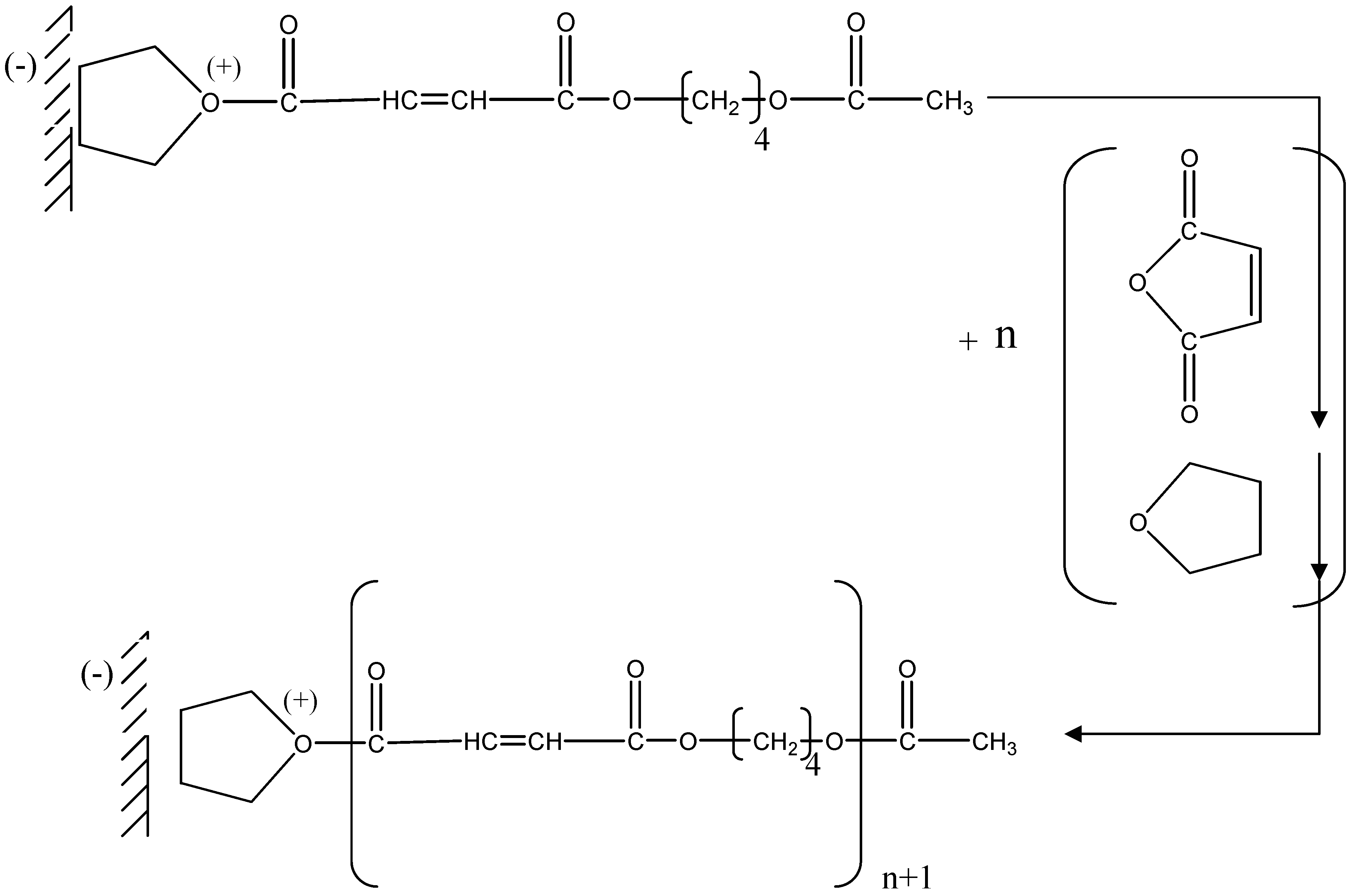 Molecules 09 00968 g006