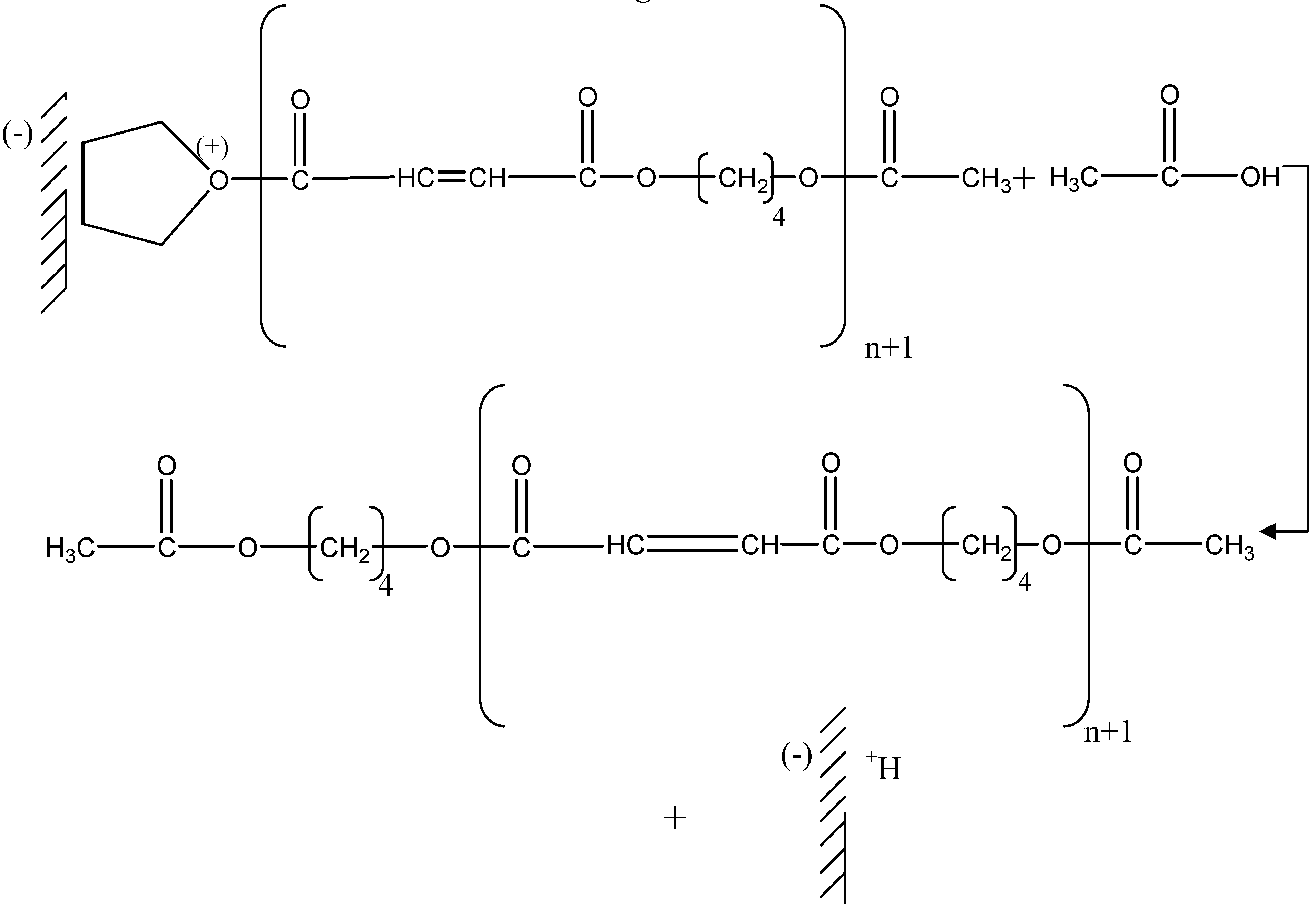Molecules 09 00968 g007