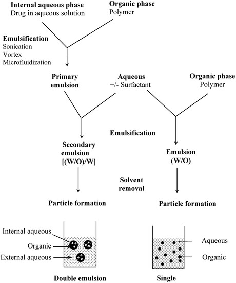 Molecules 10 00065 g002 550