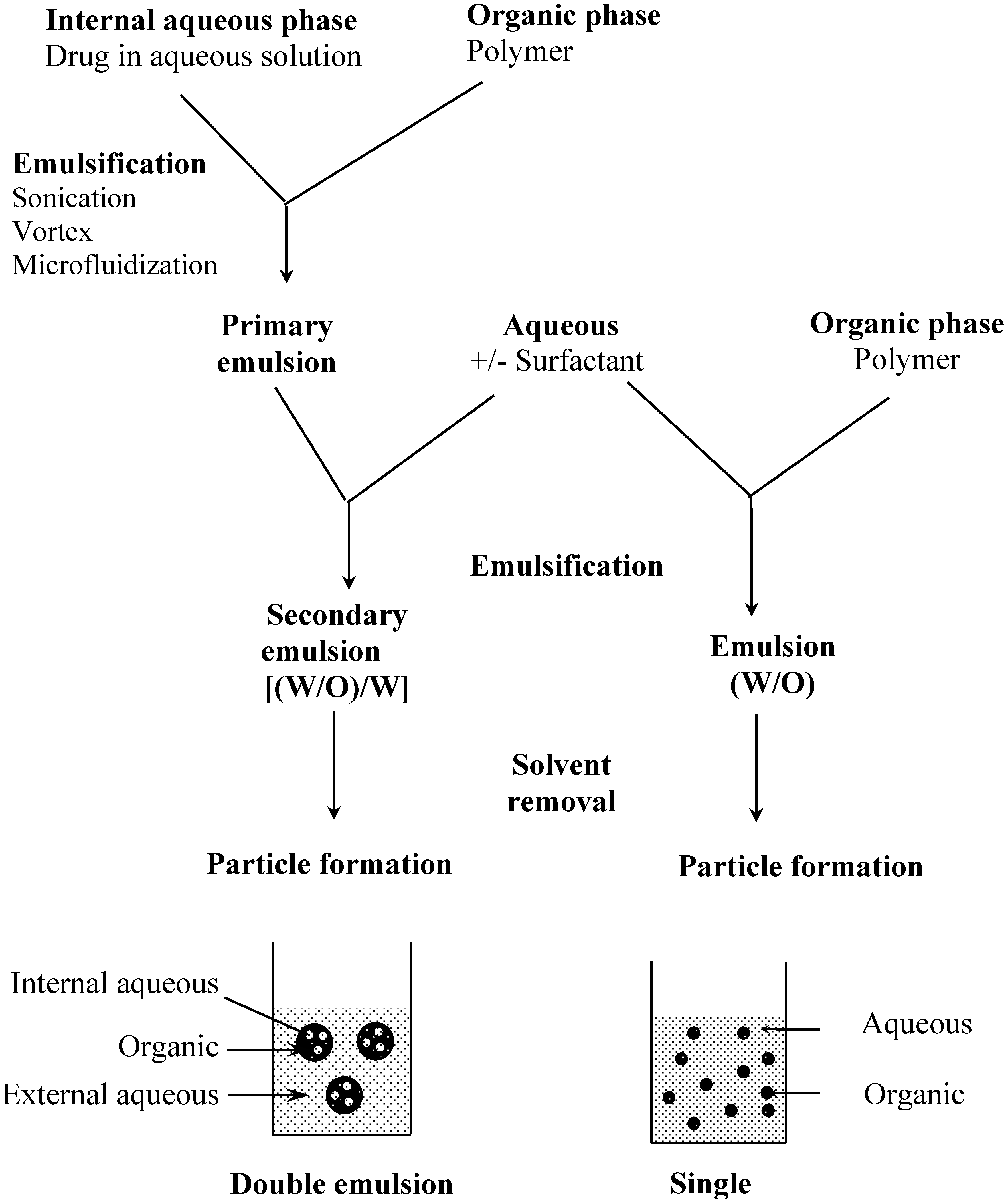 Molecules 10 00065 g002