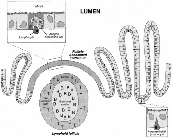 Molecules 10 00065 g003 550