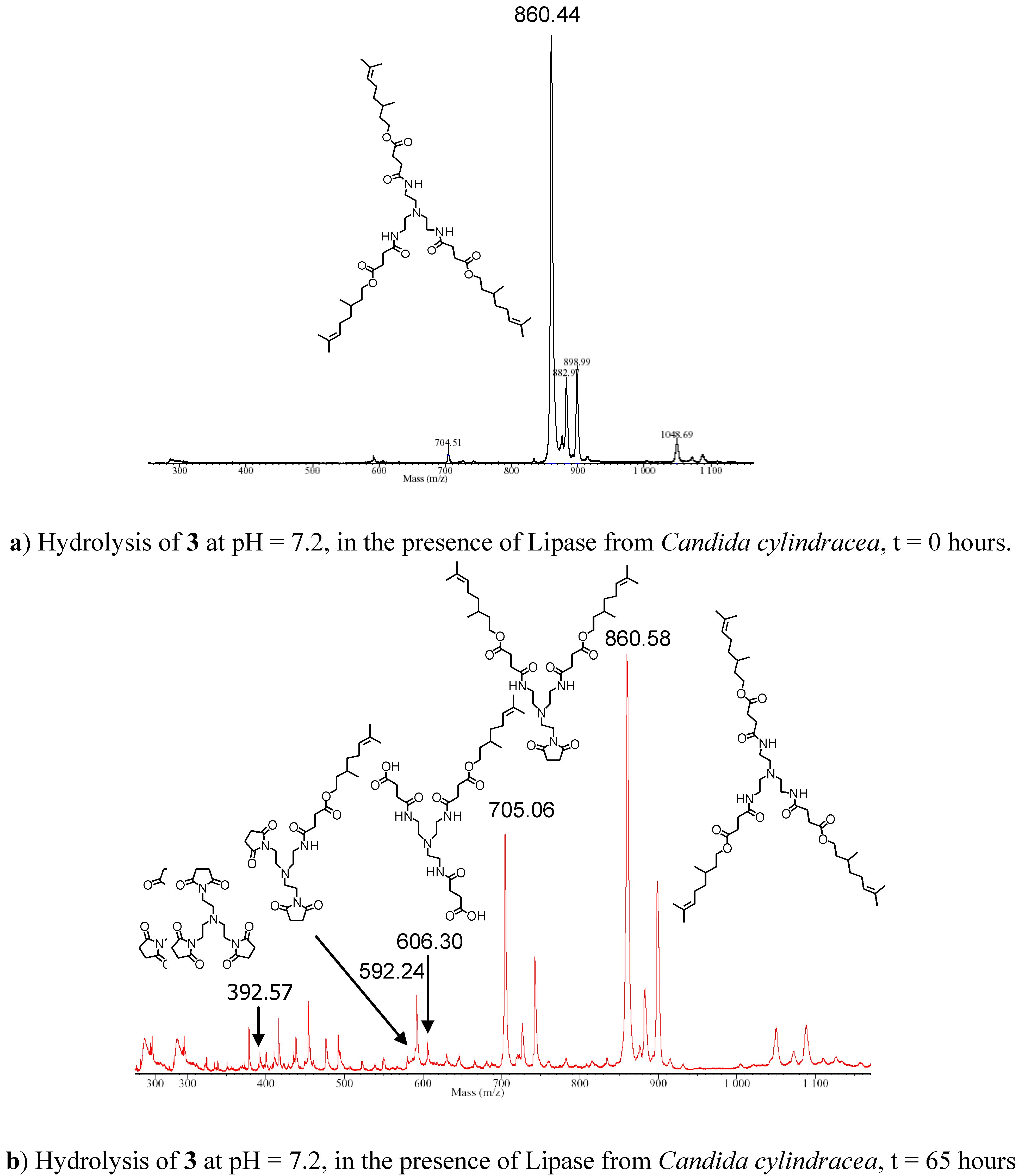 Molecules 10 00081 g002