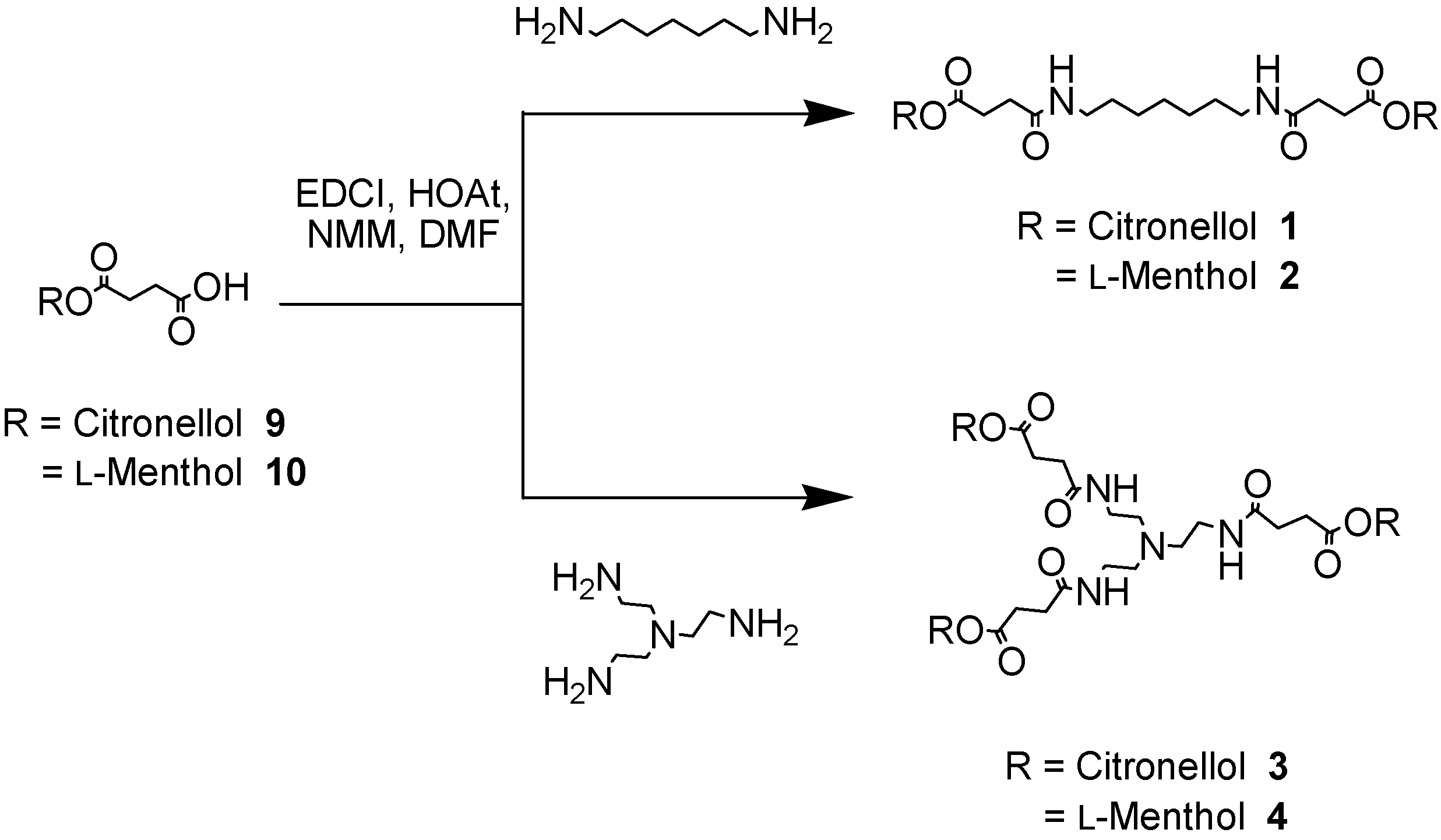Molecules 10 00081 g006
