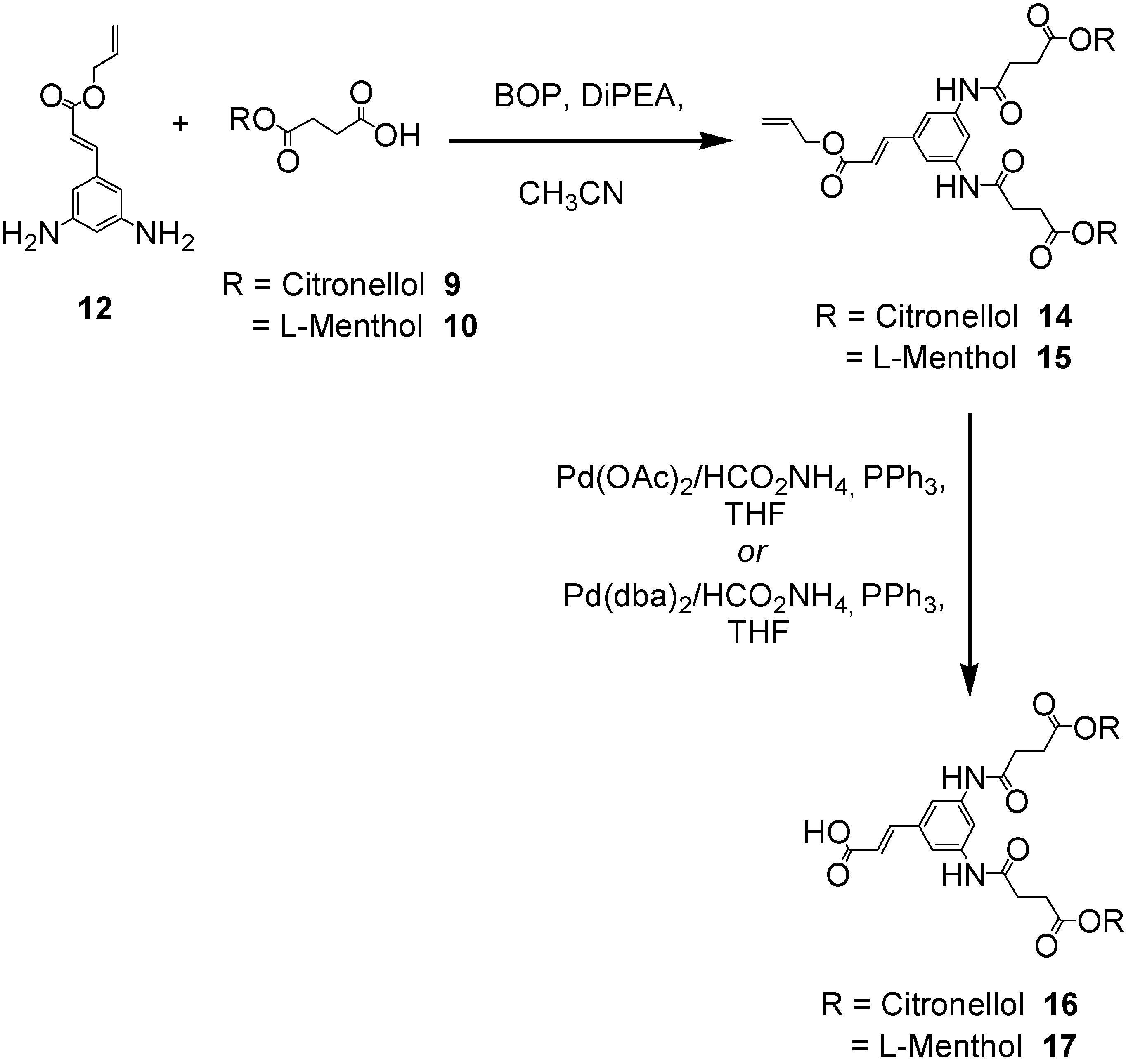Molecules 10 00081 g008