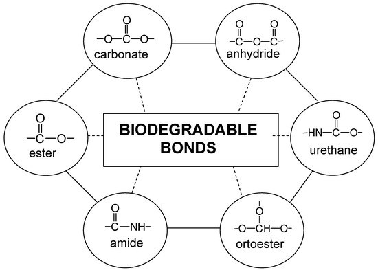 Molecules 10 00114 g002 550