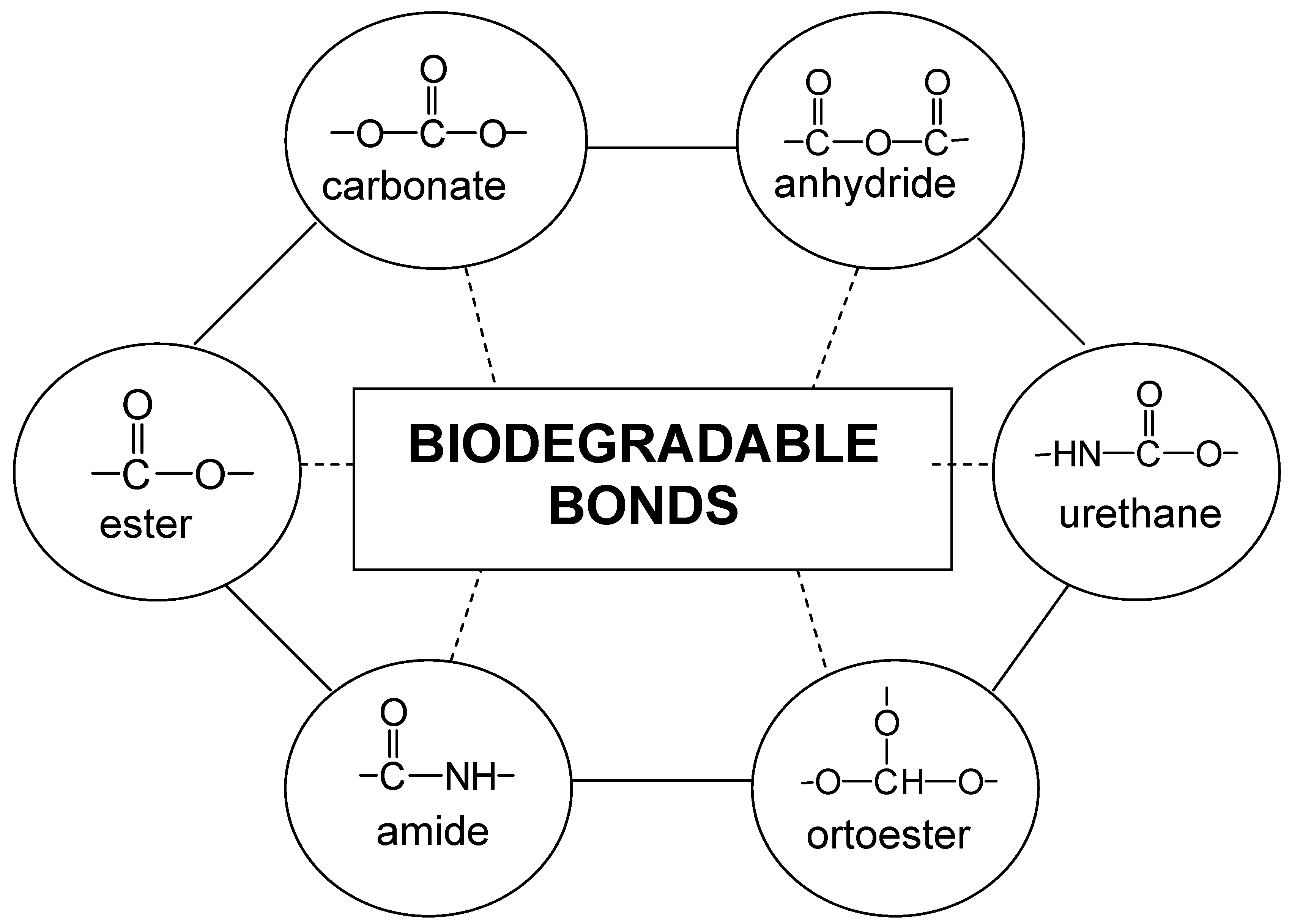 Molecules 10 00114 g002