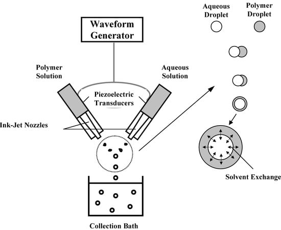 Molecules 10 00146 g002 550