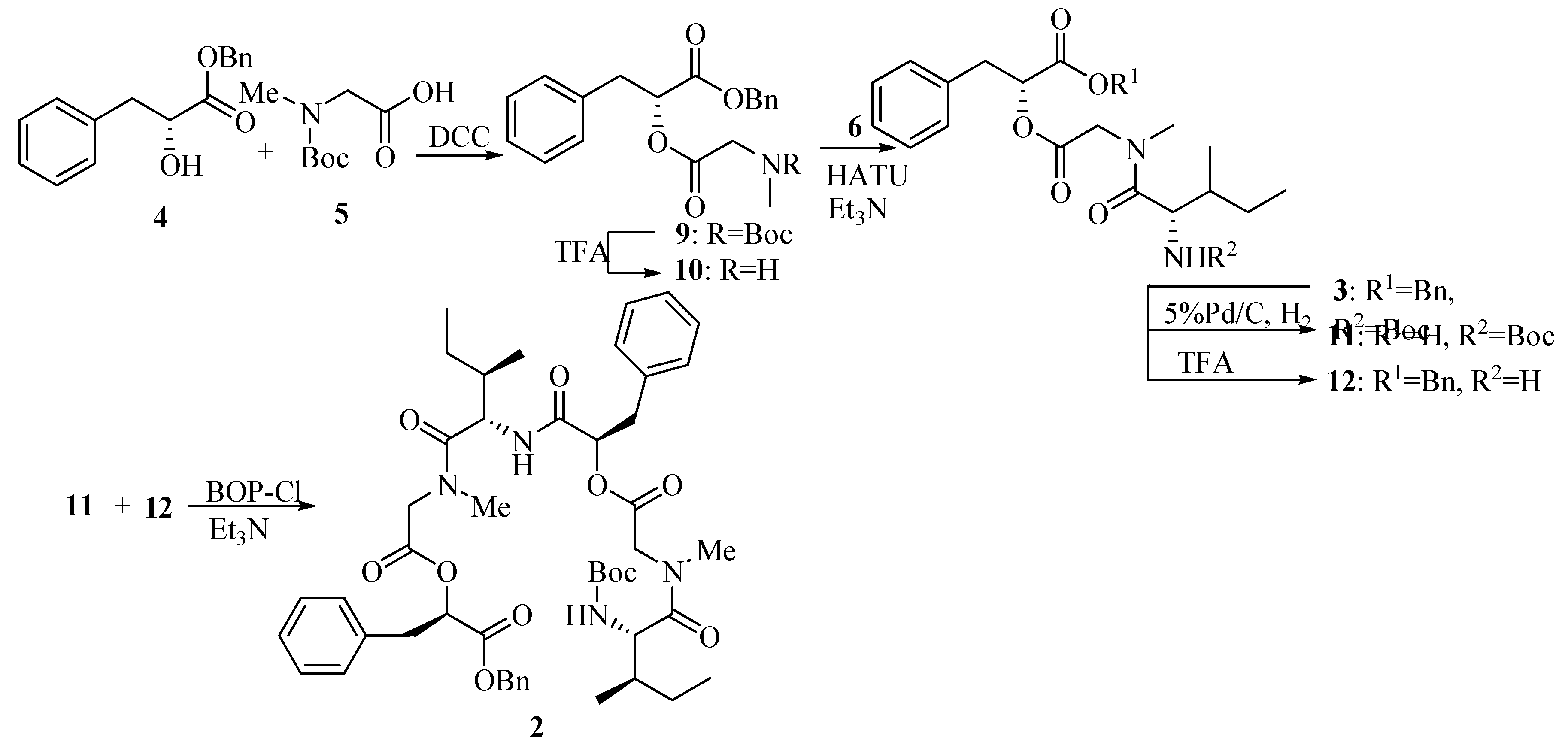 Molecules 10 00259 g004