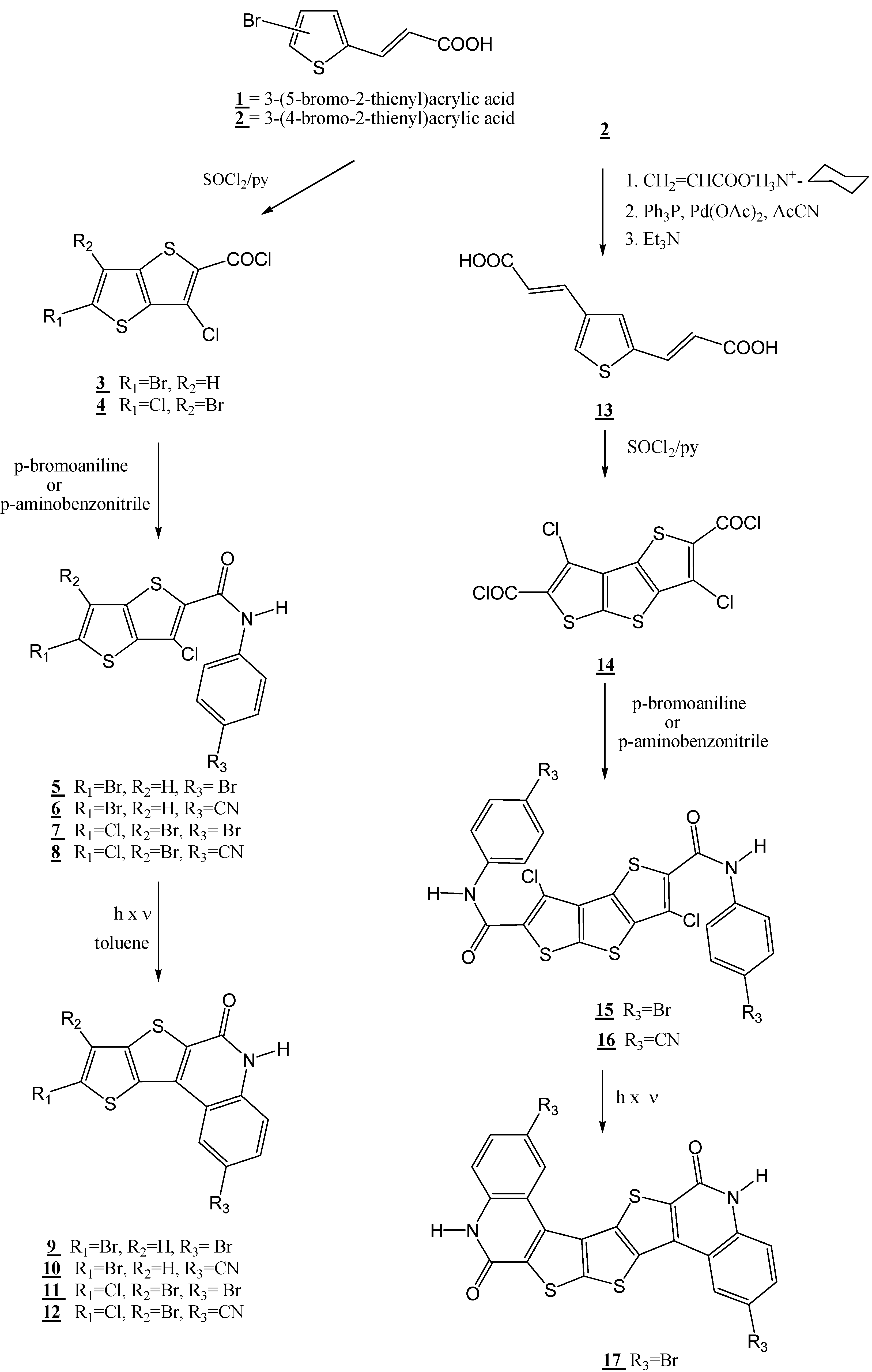 Molecules 10 00279 g001