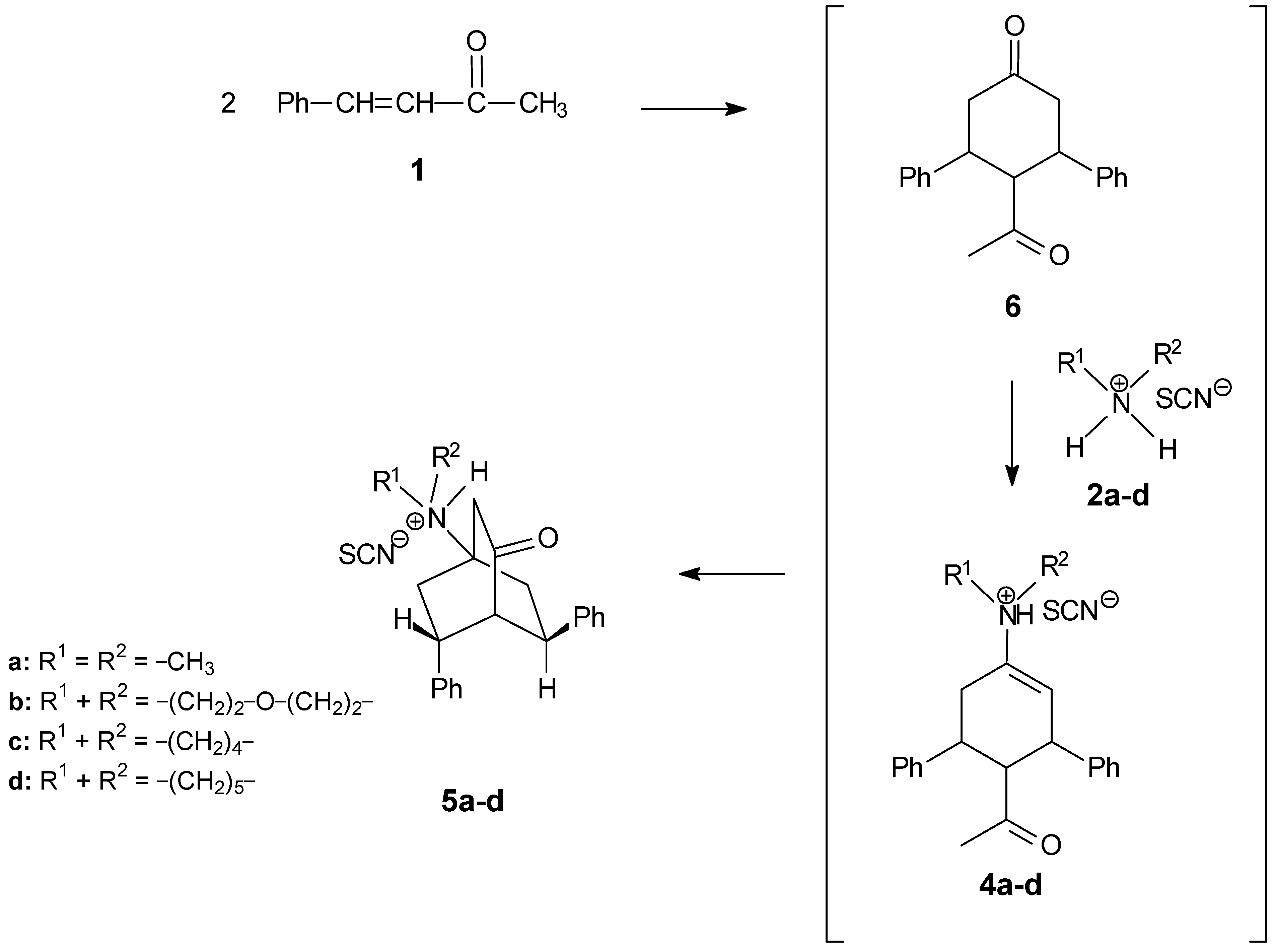 Molecules 10 00521 g006