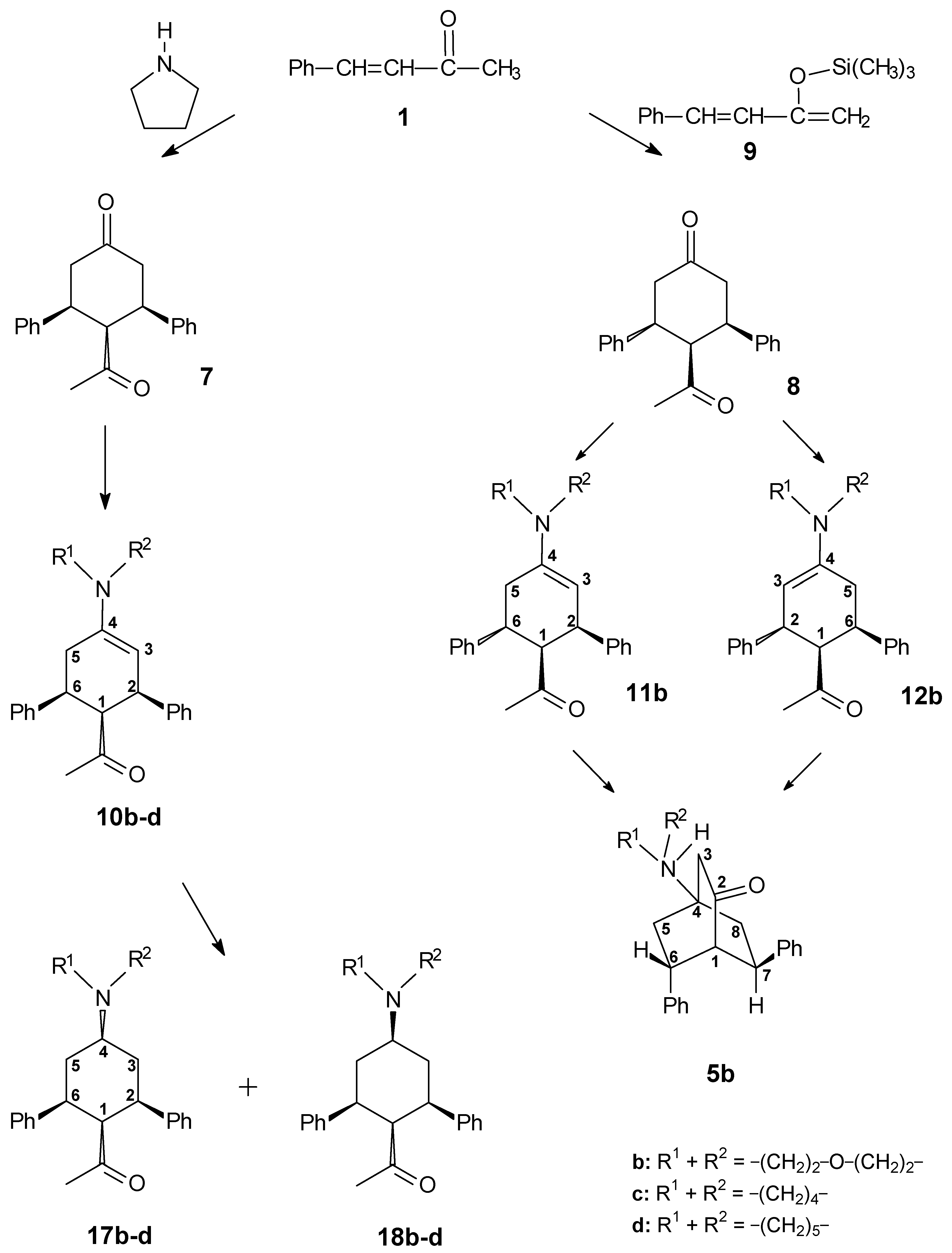 Molecules 10 00521 g007