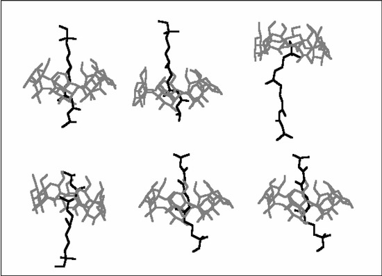 Molecules 10 00534 g006 550