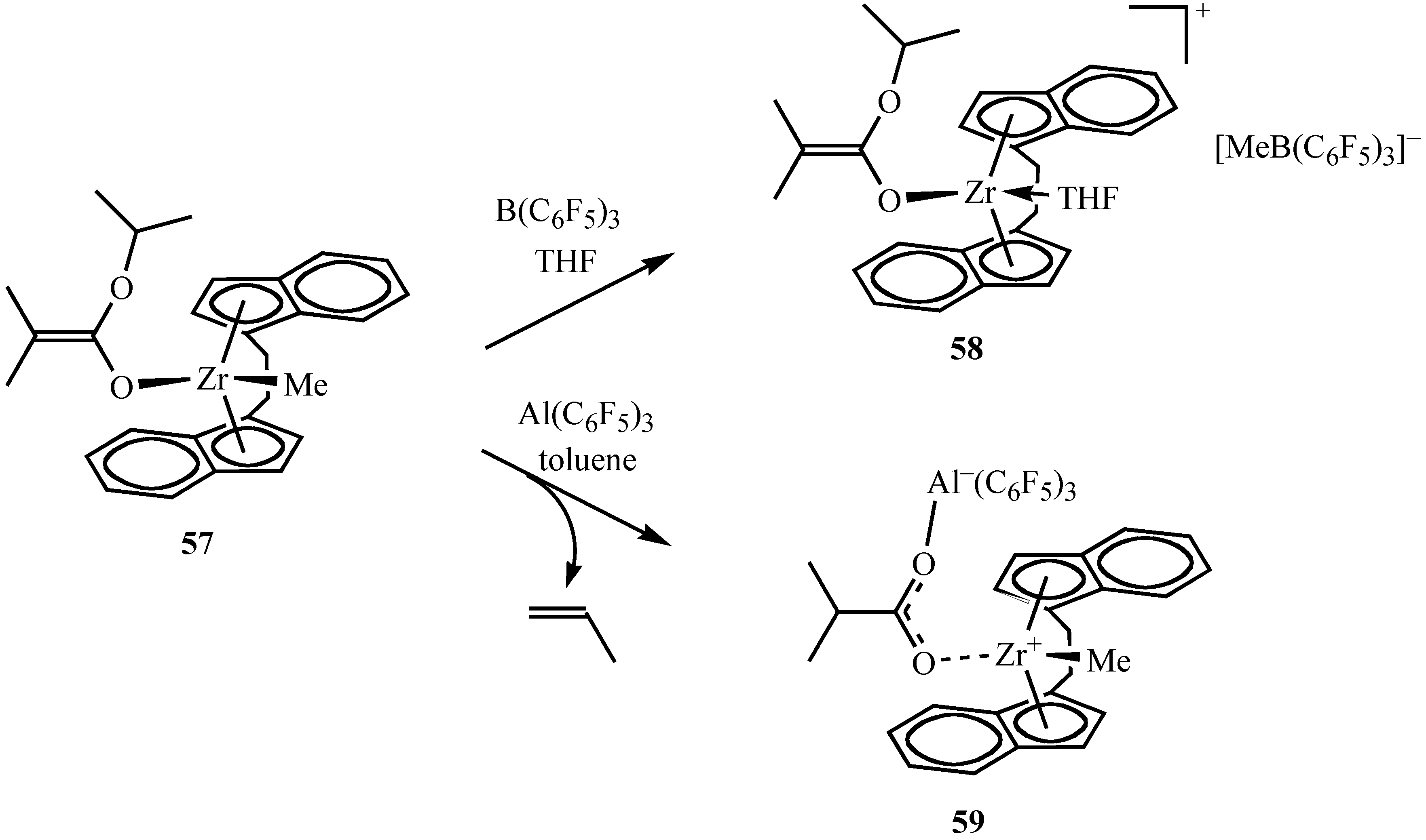 Molecules 10 00620 g008