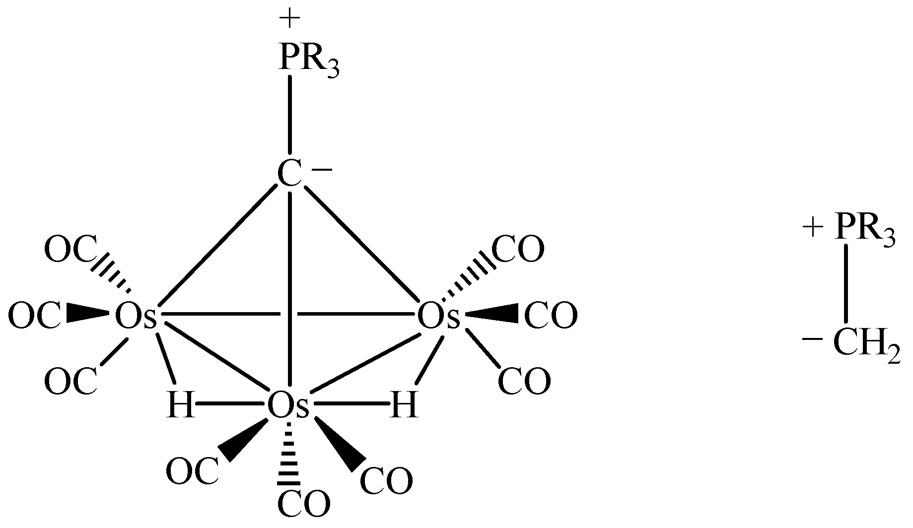 Molecules 10 00640 g004