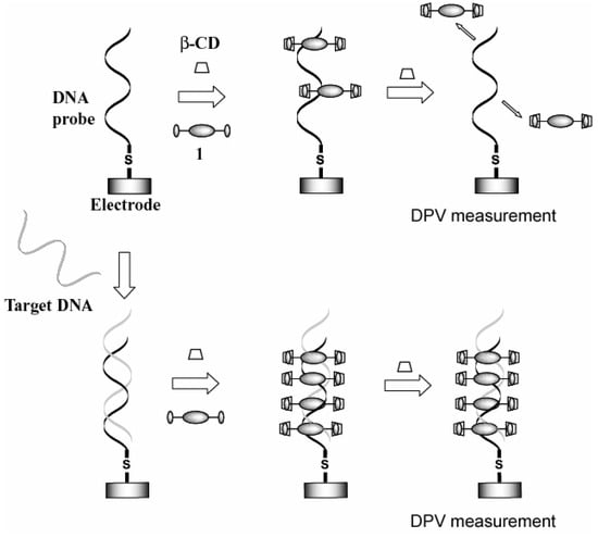 Molecules 10 00693 g010 550