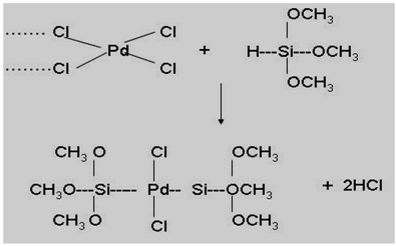 Molecules 10 00728 i002
