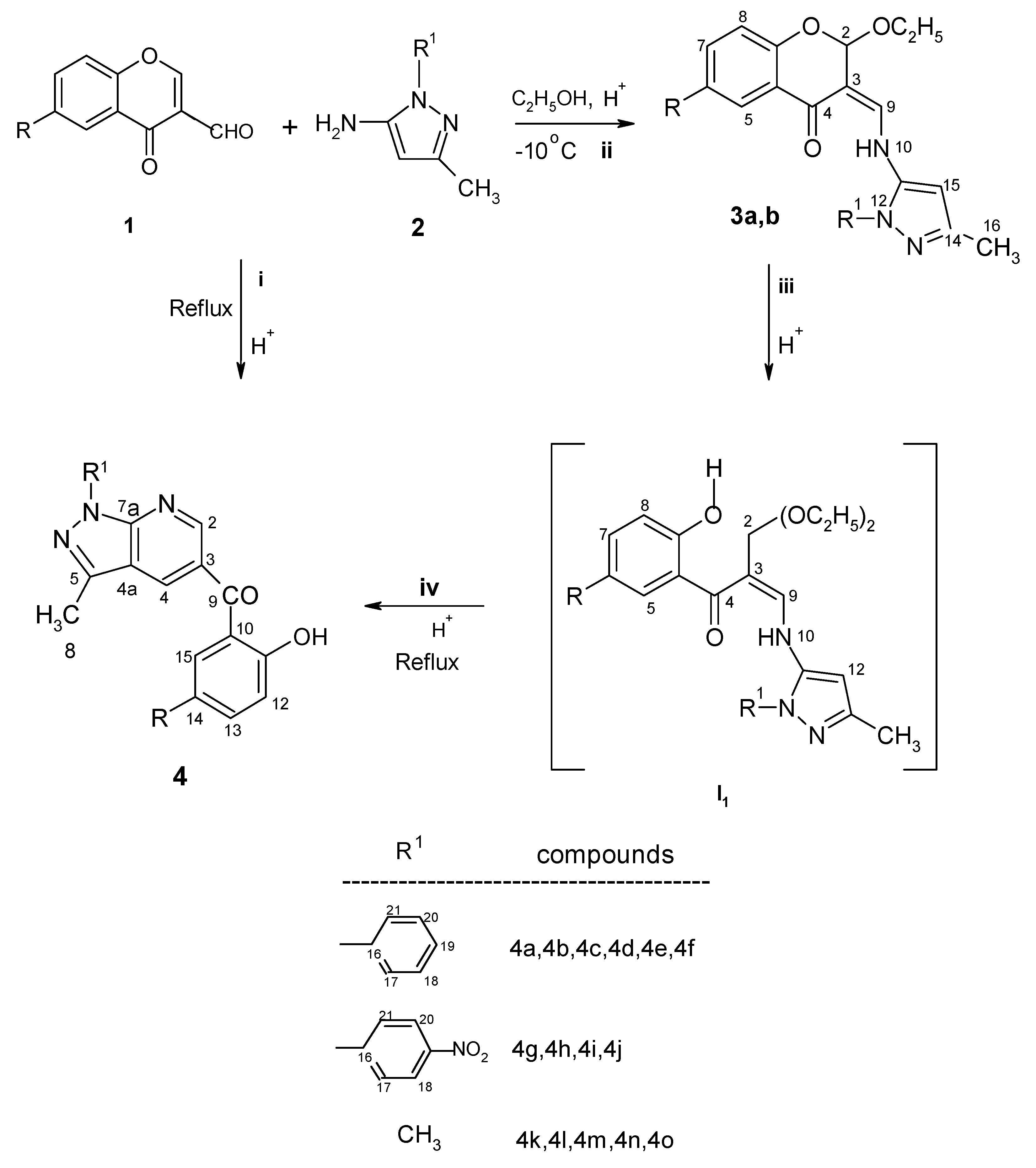 Molecules 10 00809 g001