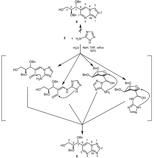 Molecules 10 00837 g002 550