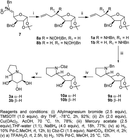 Molecules 10 00893 g003 550