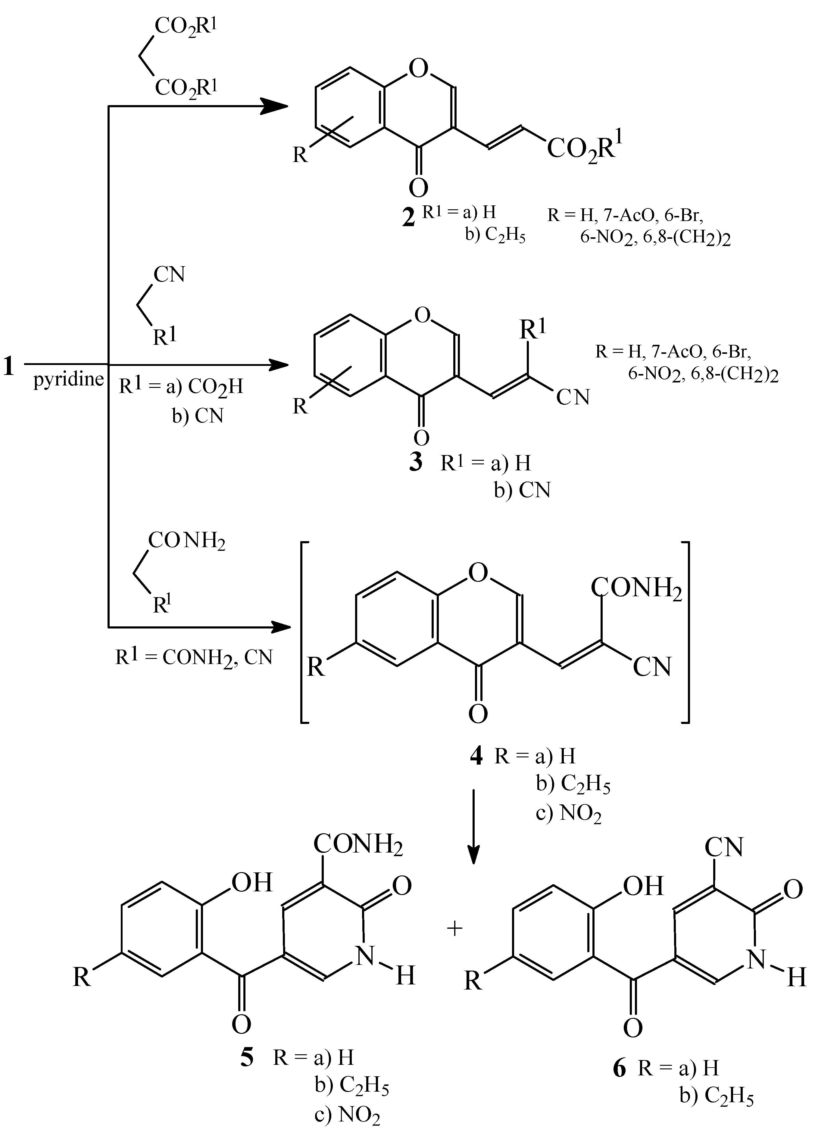 Molecules 10 00937 g002