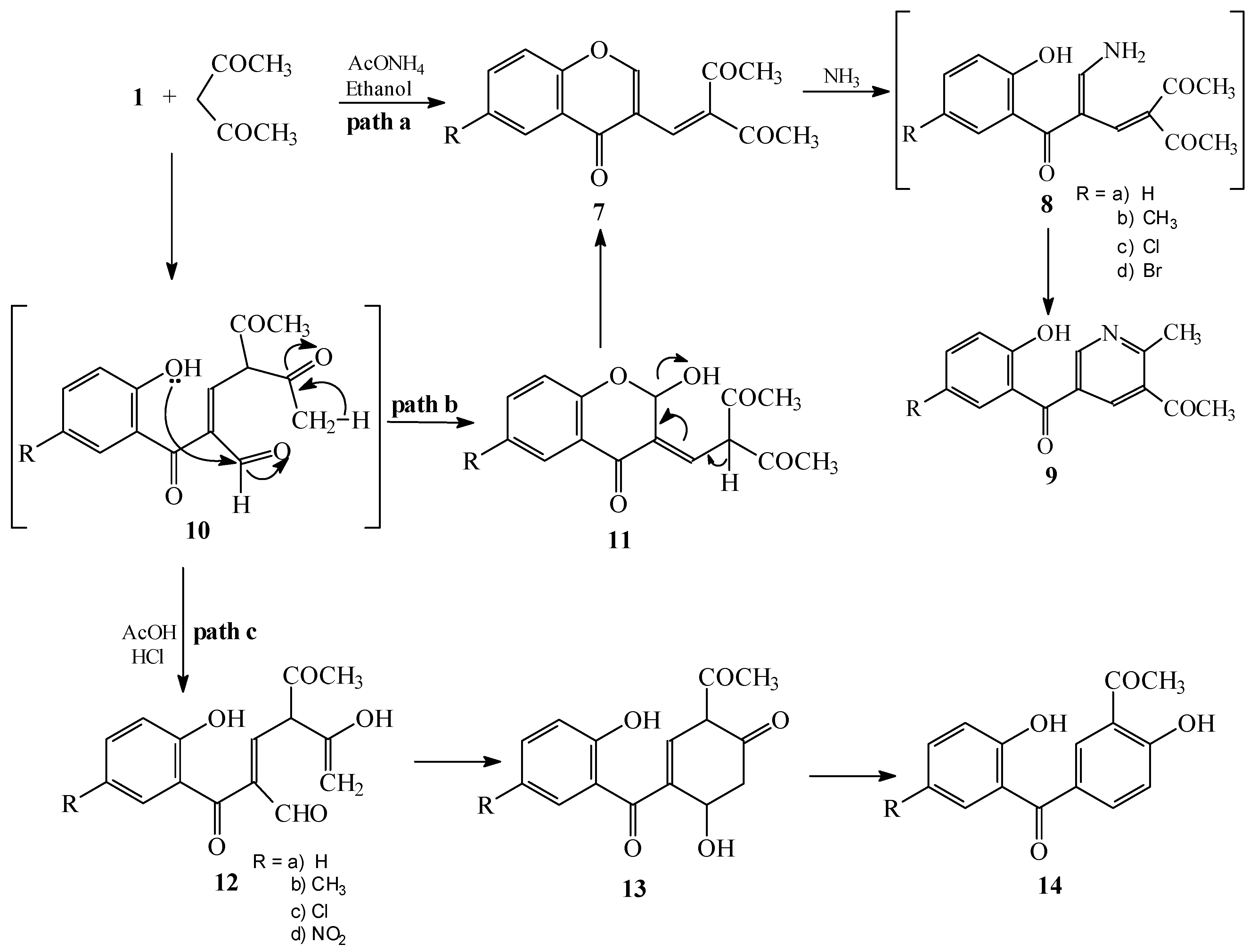 Molecules 10 00937 g003