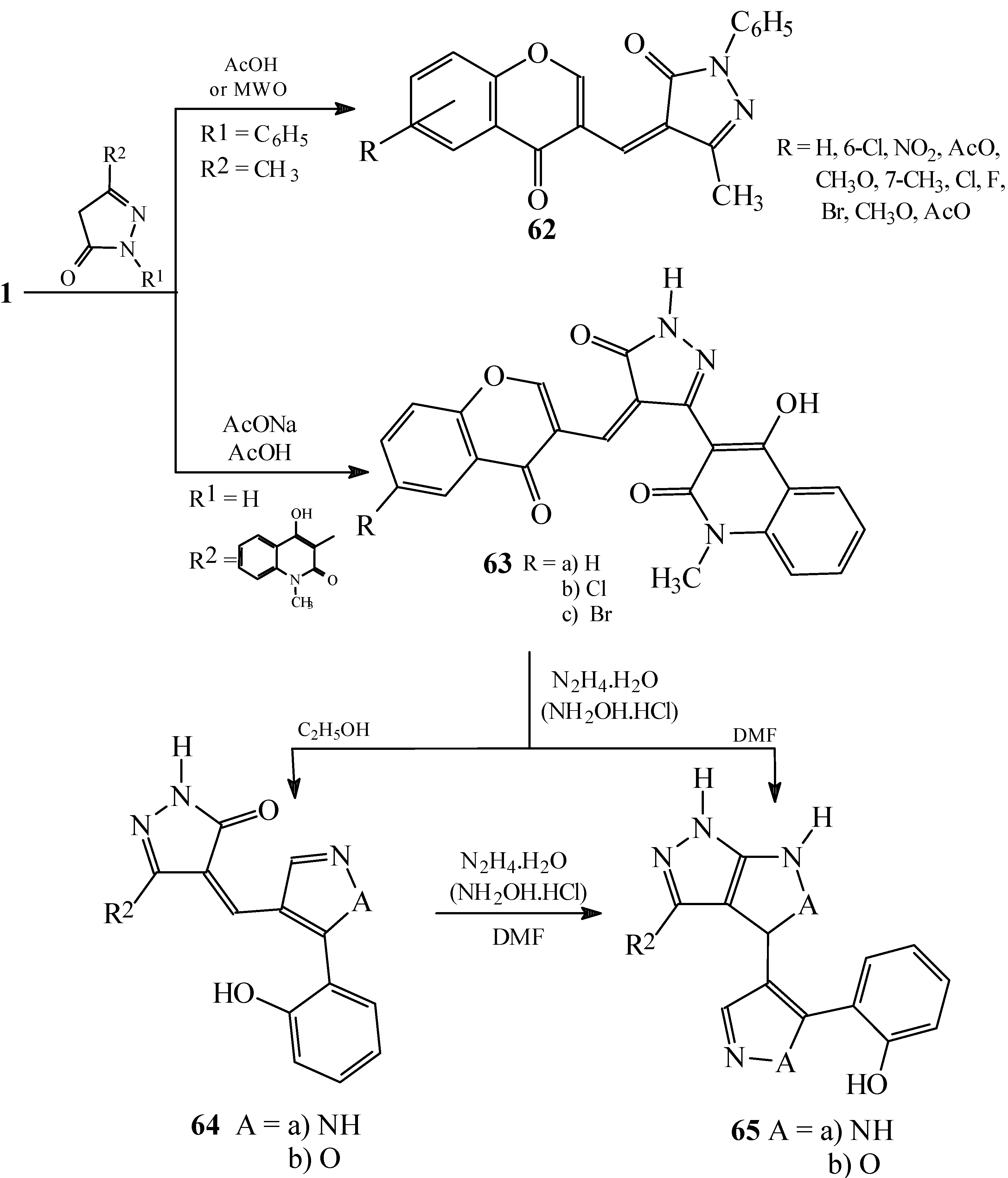 Molecules 10 00937 g013