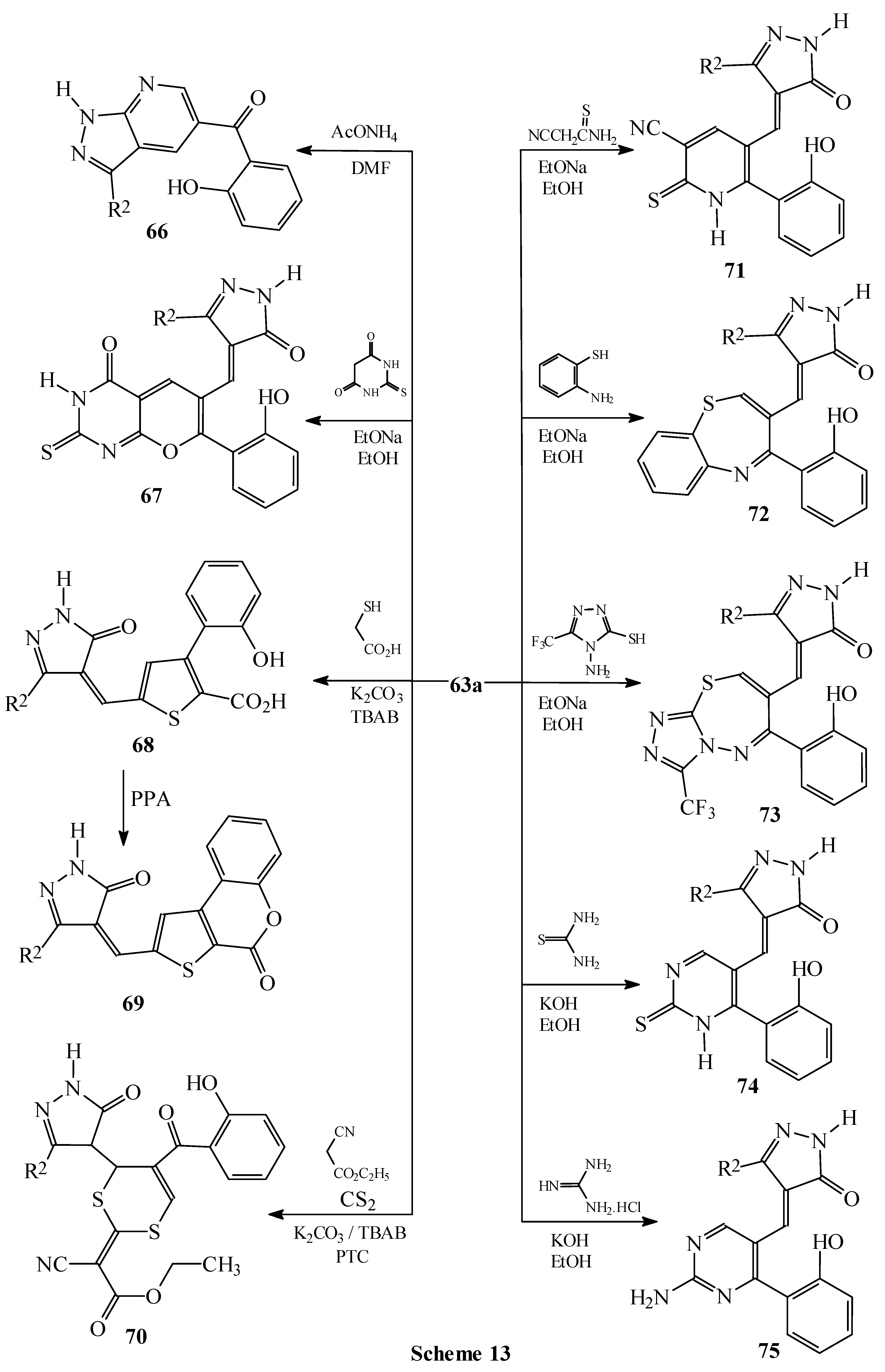 Molecules 10 00937 g014
