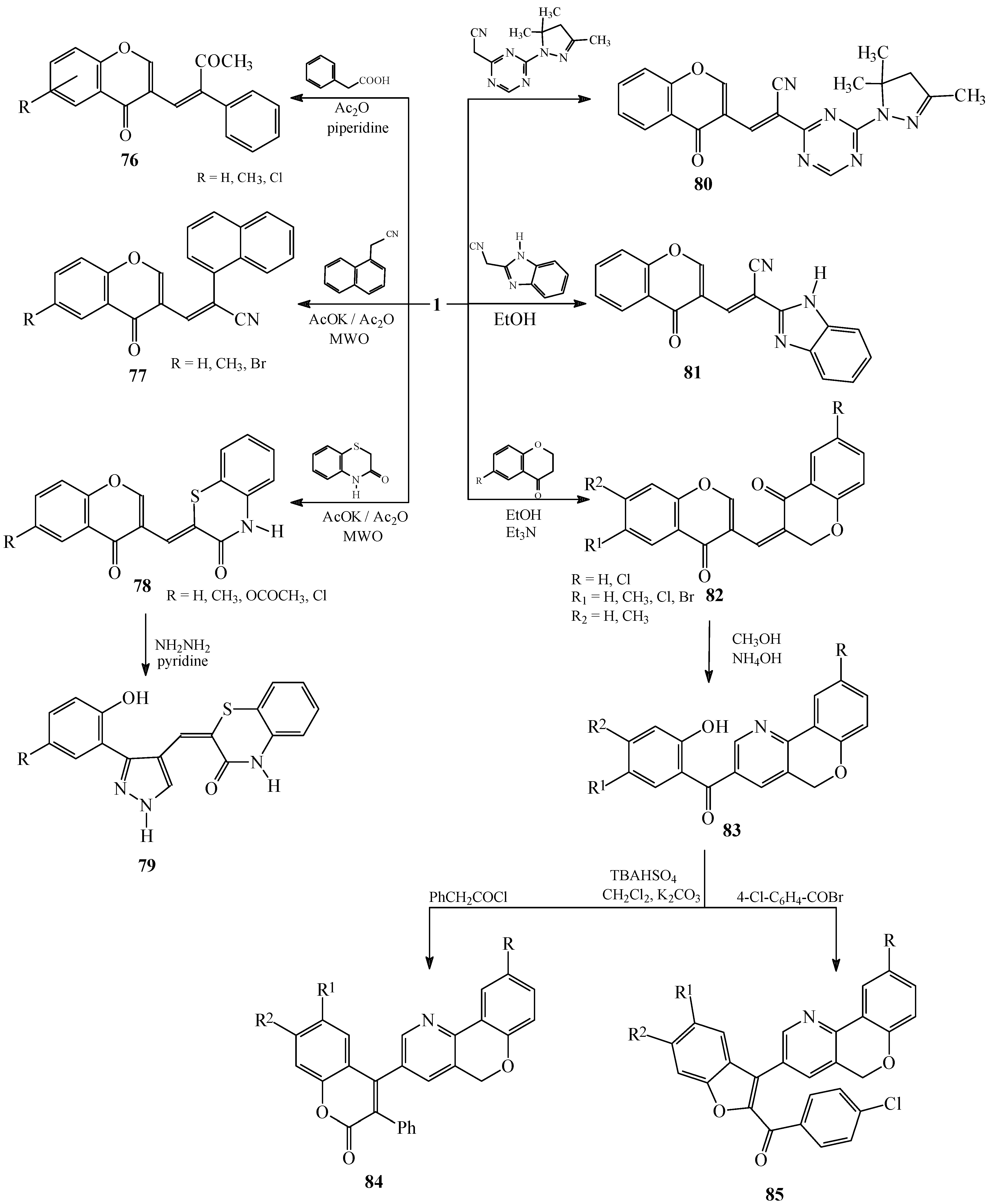 Molecules 10 00937 g015