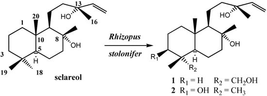 Molecules 10 01005 g002 550