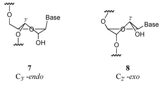 Molecules 10 01048 g001 550