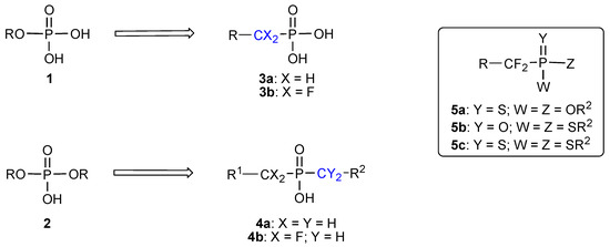 Molecules 10 01048 g006 550