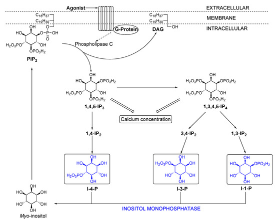 Molecules 10 01048 g008 550