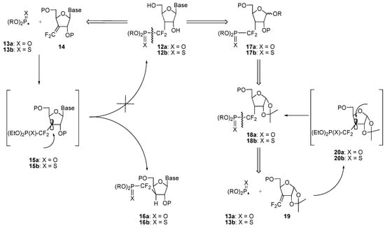 Molecules 10 01048 g010 550