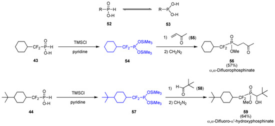 Molecules 10 01048 g016 550
