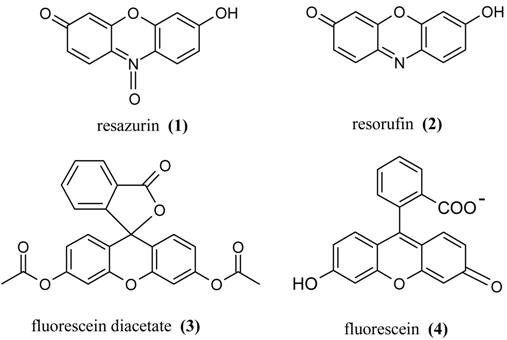 Molecules 10 01252 i001