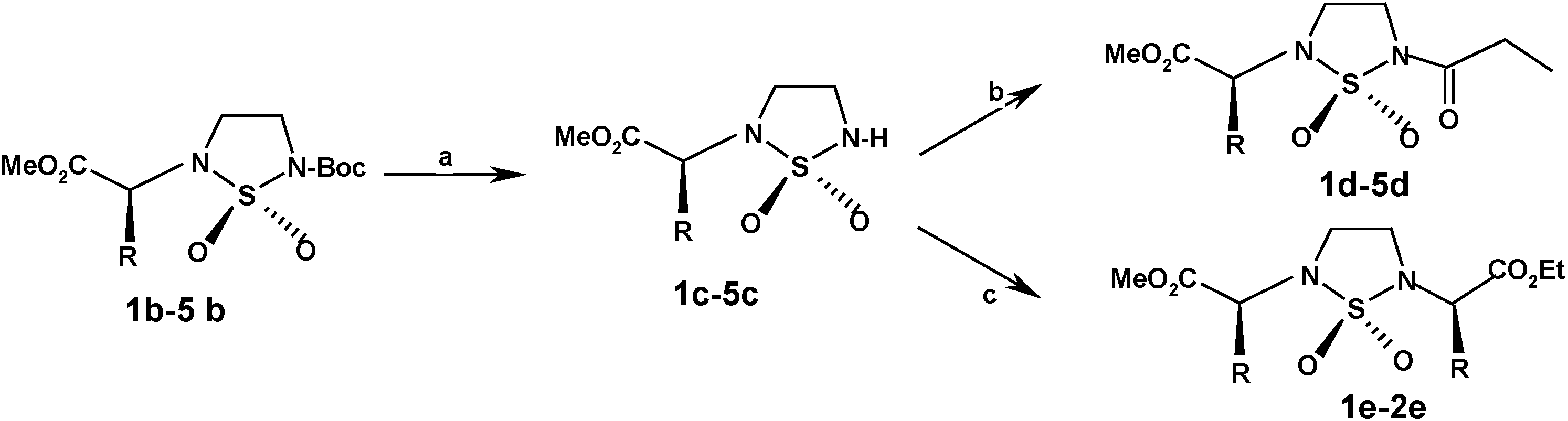 Molecules 10 01387 g003