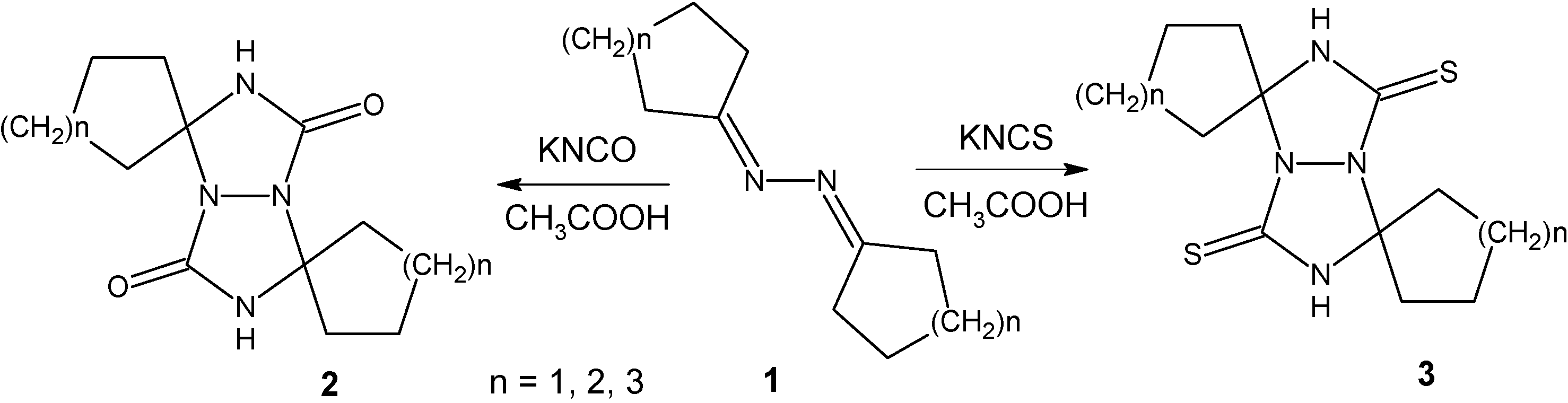 Molecules 11 00034 g005