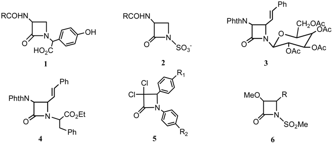 Molecules 11 00049 i001