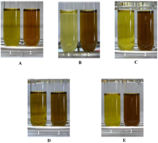 Molecules 11 00156 g001 550