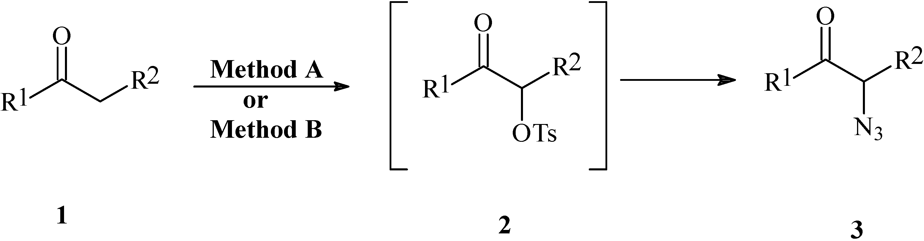 Molecules 11 00523 g002