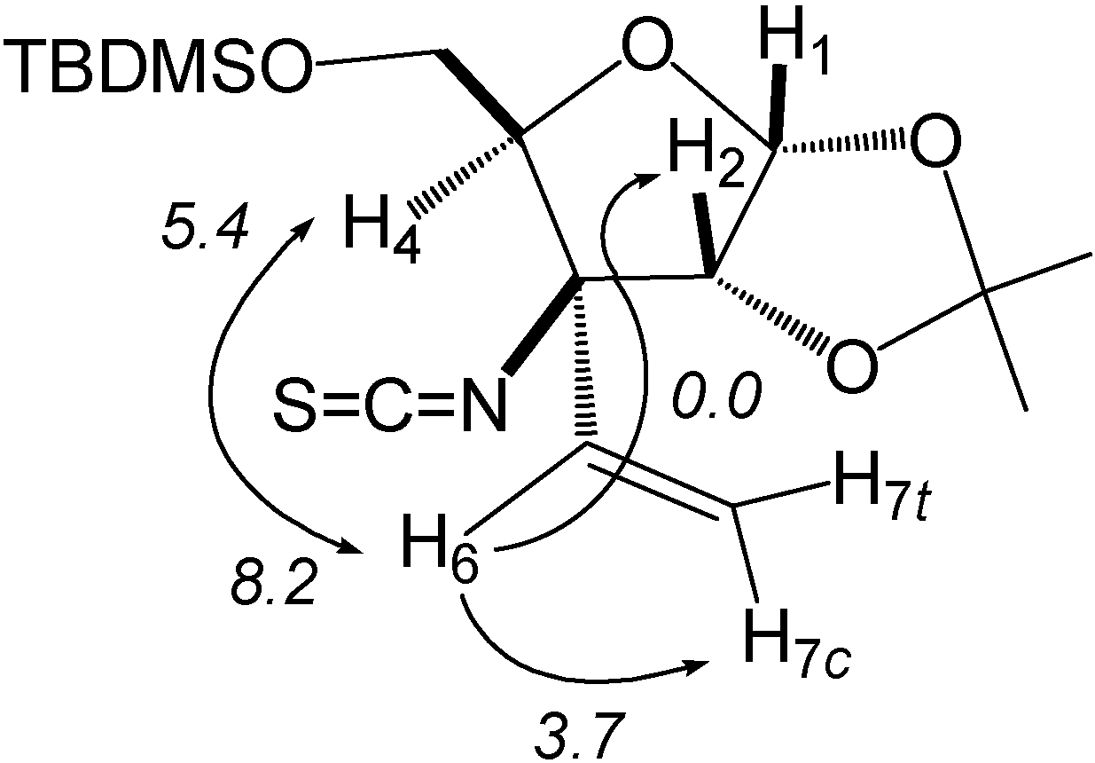 Molecules 11 00564 g001