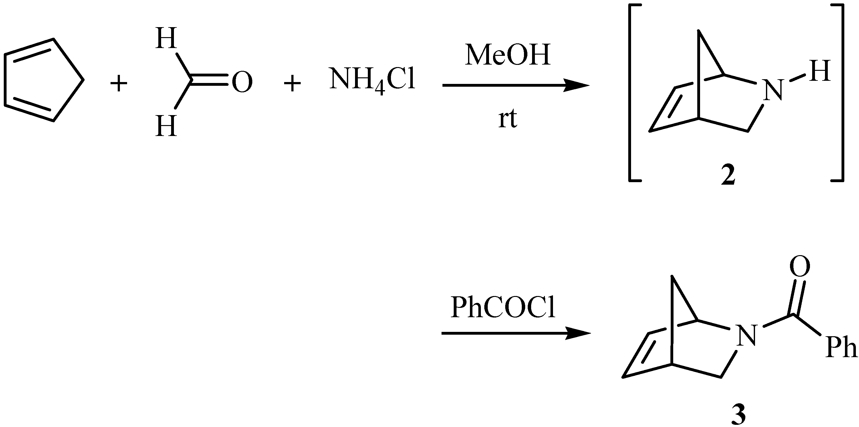 Molecules 11 00603 g002