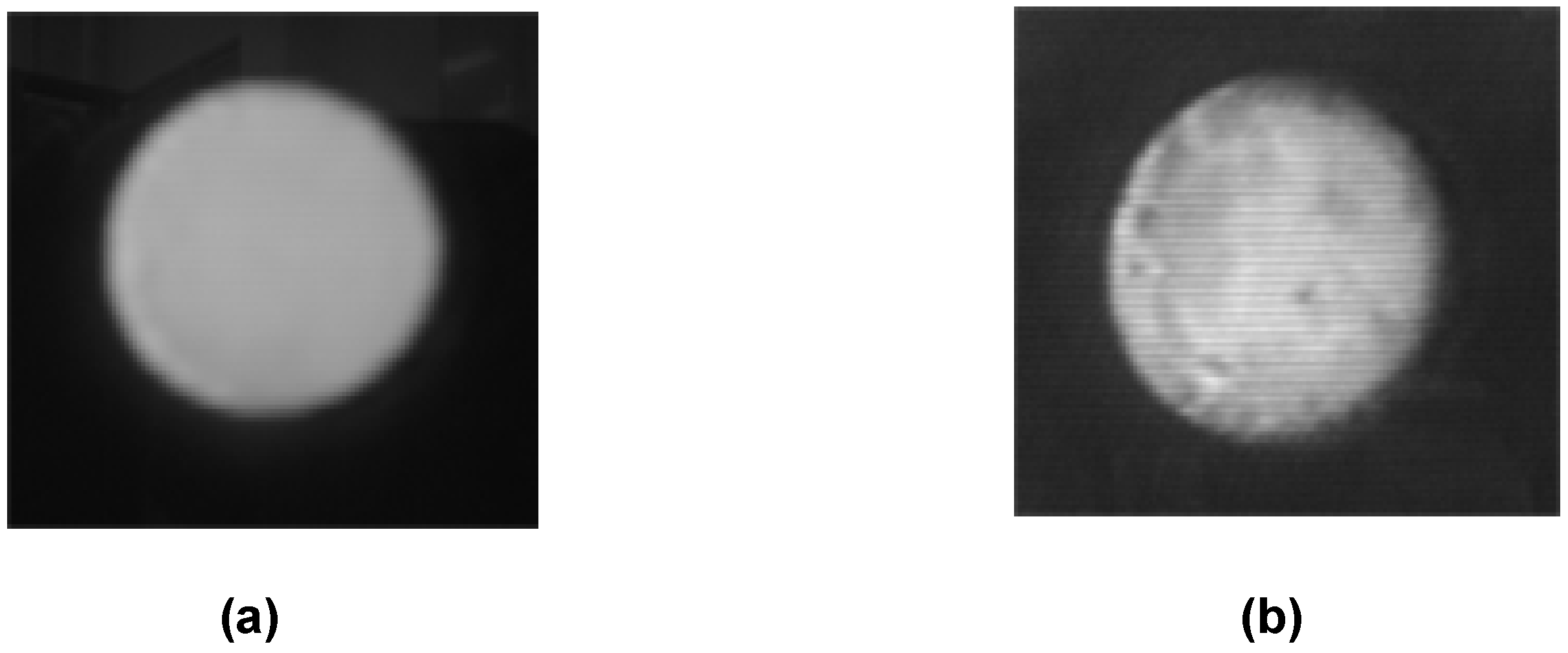 Molecules 11 00627 g006