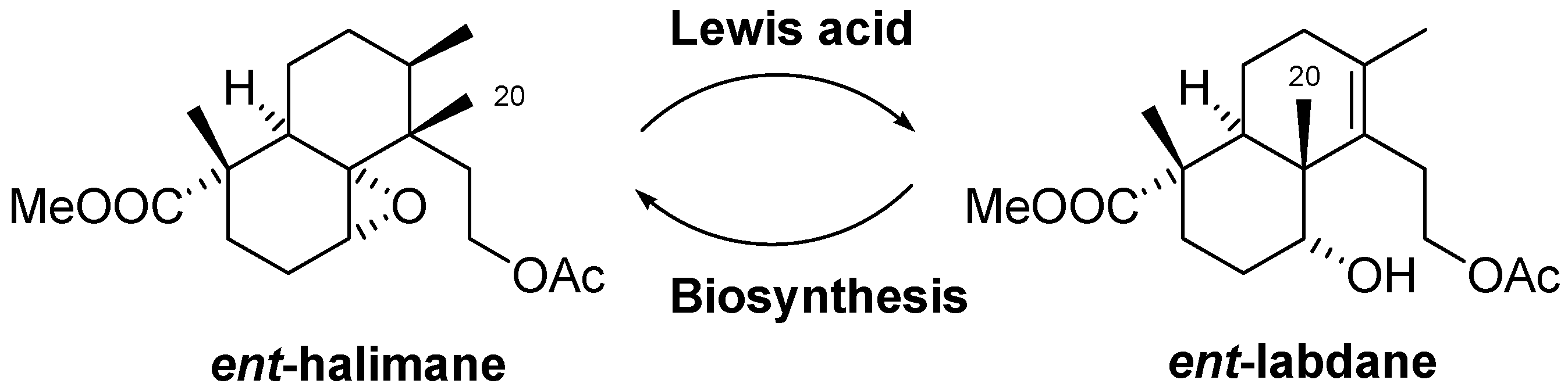 Molecules 11 00792 g008