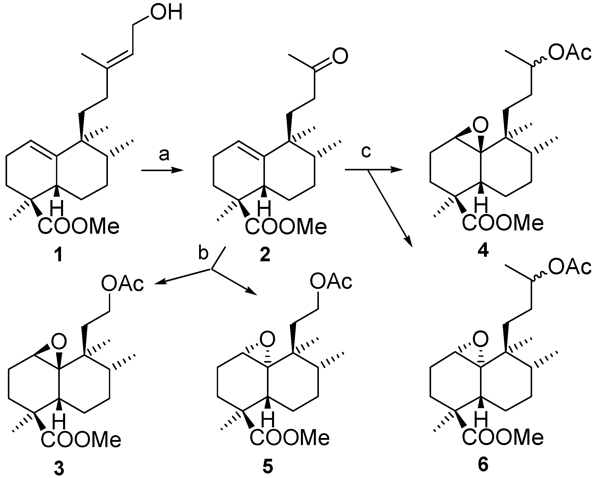 Molecules 11 00792 g009