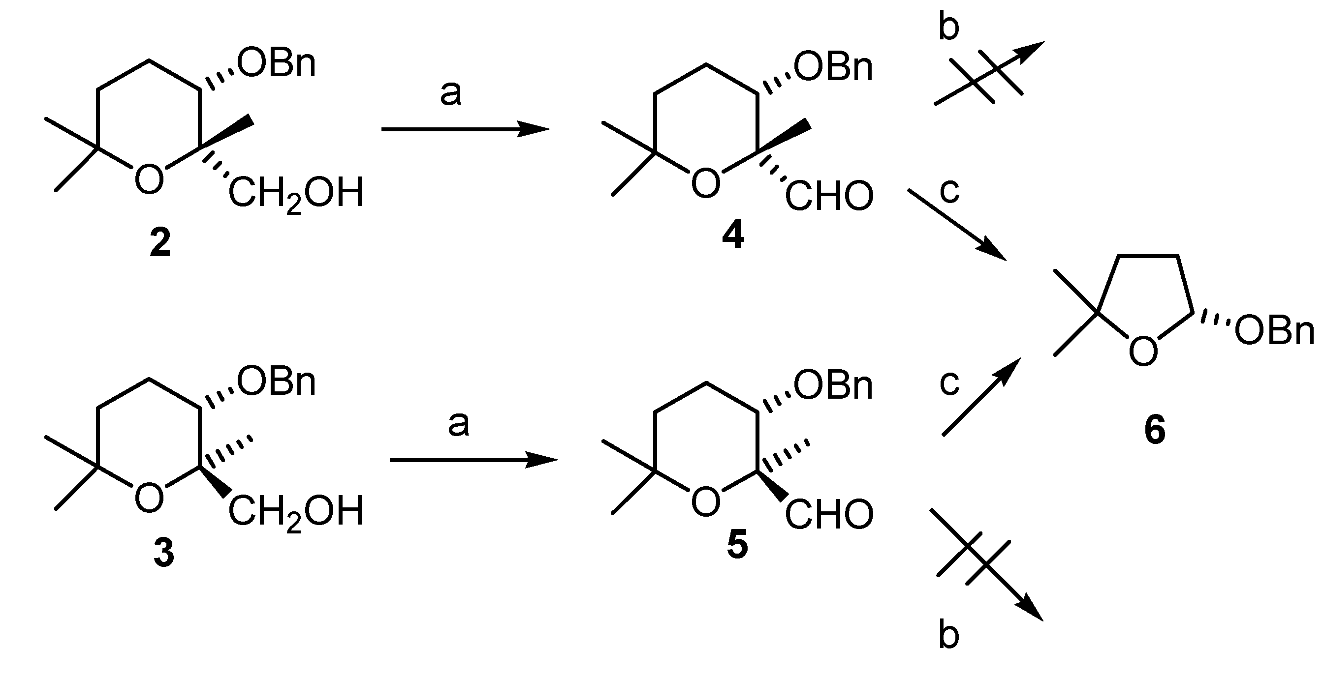 Molecules 11 00959 g004