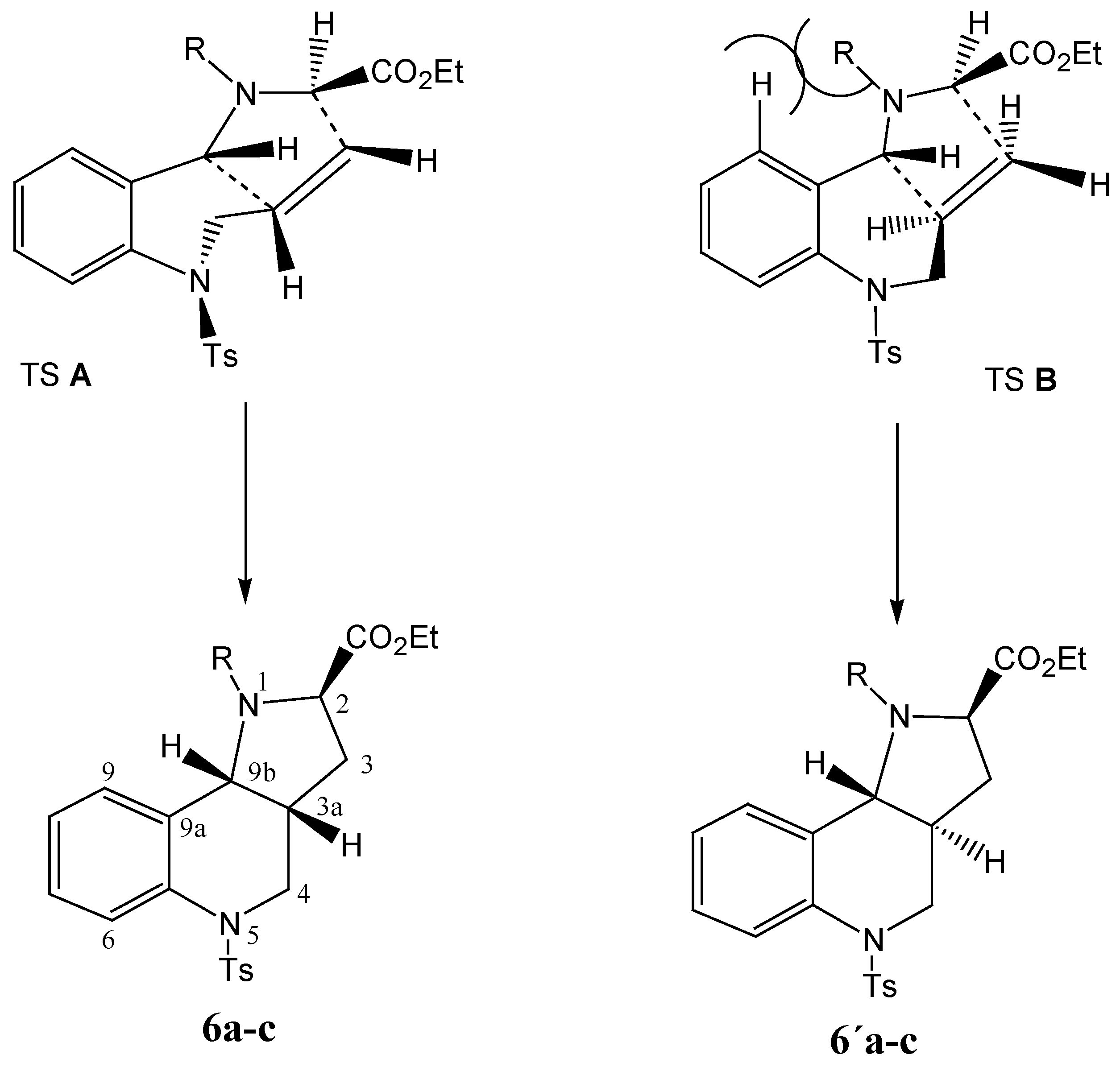 Molecules 12 00049 g008